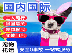 忻州空运地址国际宠物托运 【国